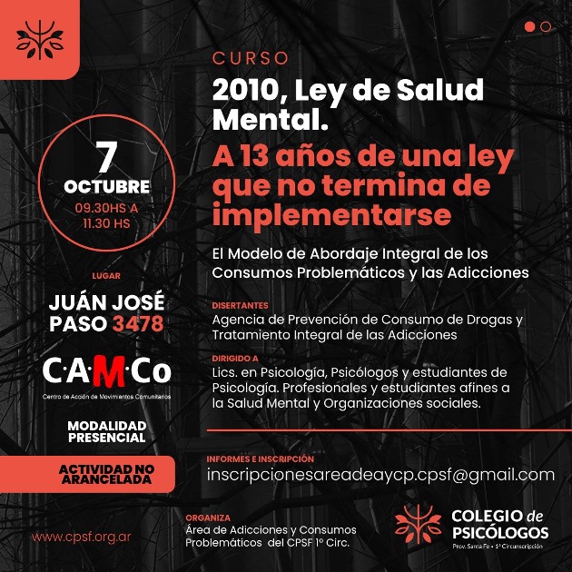 ley de salud mental 2010